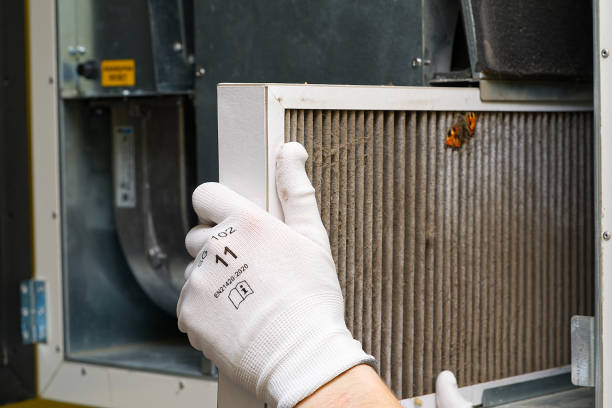 Best Air Duct Cleaning Near Me  in South Rosemary, NC