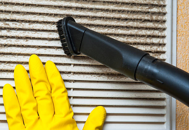Best Professional Duct Cleaning Services  in South Rosemary, NC